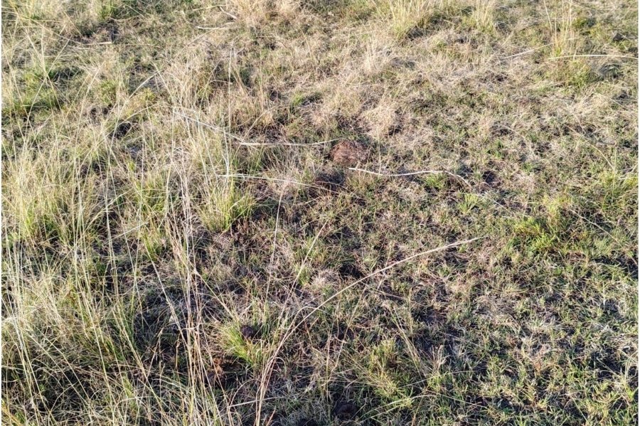 0 Bedroom Property for Sale in Metsimaholo Free State